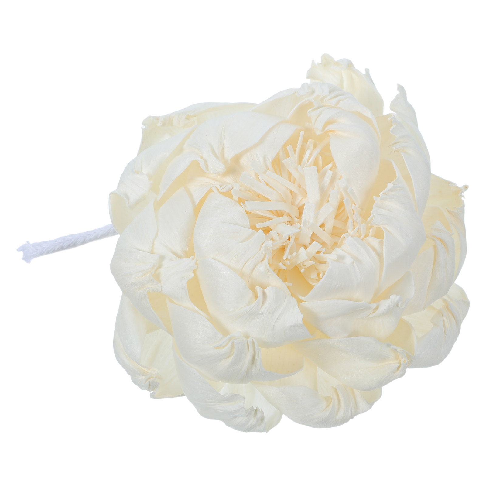 Diffusore di Fragranza a Forma - Home And You Fragrance Diffuser recensione e prezzo
